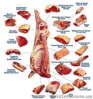 Мясная продукция "ХАЛЯЛЬ" - <ro>Изображение</ro><ru>Изображение</ru> #7, <ru>Объявление</ru> #1516127