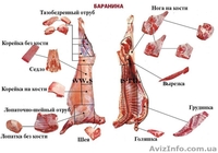 Мясная продукция "ХАЛЯЛЬ" - <ro>Изображение</ro><ru>Изображение</ru> #8, <ru>Объявление</ru> #1516127