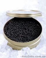 Икра красная Киев - <ro>Изображение</ro><ru>Изображение</ru> #4, <ru>Объявление</ru> #1514190