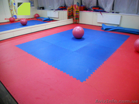 Мат – татами "Ласточкин хвост", будо мат, додянг! - <ro>Изображение</ro><ru>Изображение</ru> #2, <ru>Объявление</ru> #1520678