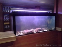 Аквариум для Устриц, Омаров, Лобстеров 0674011931 - <ro>Изображение</ro><ru>Изображение</ru> #3, <ru>Объявление</ru> #1518749