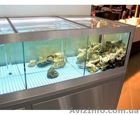 Аквариум для Устриц, Омаров, Лобстеров 0674011931 - <ro>Изображение</ro><ru>Изображение</ru> #2, <ru>Объявление</ru> #1518749