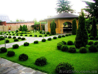 РБК Ронин сроительство под ключ - <ro>Изображение</ro><ru>Изображение</ru> #6, <ru>Объявление</ru> #1523046