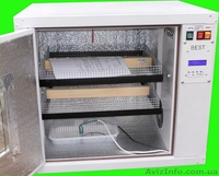 Инкубатор BEST-200 - <ro>Изображение</ro><ru>Изображение</ru> #1, <ru>Объявление</ru> #1522304