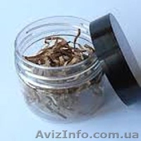 Баночка 90-100 мл. для специй, крема, косметики - <ro>Изображение</ro><ru>Изображение</ru> #2, <ru>Объявление</ru> #1189264
