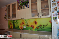 скинали стекло на кухню с фото печатью - <ro>Изображение</ro><ru>Изображение</ru> #9, <ru>Объявление</ru> #1545659