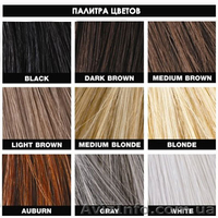 Загуститель Волос Toppik Большой 25г - <ro>Изображение</ro><ru>Изображение</ru> #1, <ru>Объявление</ru> #1547322