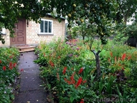 Если Вы заботитесь о здоровье своей семьи, то это объявление для Вас - <ro>Изображение</ro><ru>Изображение</ru> #1, <ru>Объявление</ru> #1552137