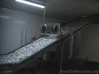 Камера копчения рыбы - <ro>Изображение</ro><ru>Изображение</ru> #2, <ru>Объявление</ru> #1560279