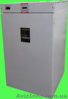 Инкубатор для яиц. - <ro>Изображение</ro><ru>Изображение</ru> #3, <ru>Объявление</ru> #1556590