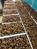 Финики Тунис (Прямые поставки)  - <ro>Изображение</ro><ru>Изображение</ru> #3, <ru>Объявление</ru> #1567131