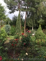 Продам дом за половину стоимости. - <ro>Изображение</ro><ru>Изображение</ru> #3, <ru>Объявление</ru> #1581231