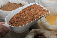 Гречневая крупа оптом  - <ro>Изображение</ro><ru>Изображение</ru> #3, <ru>Объявление</ru> #1598217