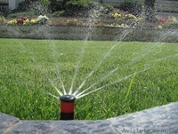 Устройство автоматического полива - <ro>Изображение</ro><ru>Изображение</ru> #2, <ru>Объявление</ru> #1601634