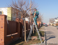 Комплексный уход за садом. Услуги садовника  - <ro>Изображение</ro><ru>Изображение</ru> #1, <ru>Объявление</ru> #544420