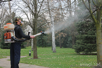 Уход за садом. Услуги садовника - <ro>Изображение</ro><ru>Изображение</ru> #2, <ru>Объявление</ru> #1047678