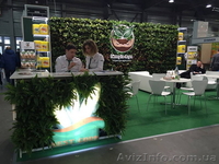 Фитодизайн, ландшафтный дизайн, интерьерное и экстерьерное озеленение в Киеве - <ro>Изображение</ro><ru>Изображение</ru> #2, <ru>Объявление</ru> #1612533