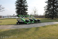 Вычесывание газона. Уход за газоном  - <ro>Изображение</ro><ru>Изображение</ru> #4, <ru>Объявление</ru> #544421