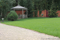 Уход за садом. Услуги садовника - <ro>Изображение</ro><ru>Изображение</ru> #4, <ru>Объявление</ru> #1047678