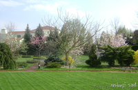 Уход за садом. Услуги садовника - <ro>Изображение</ro><ru>Изображение</ru> #5, <ru>Объявление</ru> #1047678