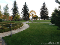 Устройство газона, рулонный газон. Уход за газоном - <ro>Изображение</ro><ru>Изображение</ru> #7, <ru>Объявление</ru> #1047680