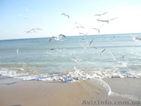 Невероятный Одесский берег Майские - <ro>Изображение</ro><ru>Изображение</ru> #2, <ru>Объявление</ru> #1615131