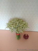 Ландыши  - <ro>Изображение</ro><ru>Изображение</ru> #1, <ru>Объявление</ru> #1618697