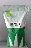 Семена газонной травы DLF Trifolium по оптовым ценам  - <ro>Изображение</ro><ru>Изображение</ru> #4, <ru>Объявление</ru> #1627755