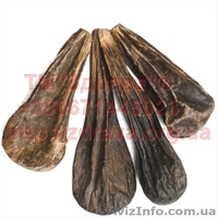 Медвежья желчь сухая настойка медвежьей желчи капсулы - <ro>Изображение</ro><ru>Изображение</ru> #1, <ru>Объявление</ru> #1634262