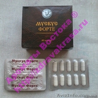 Бобровая струя бобра настойка бобровой струи - <ro>Изображение</ro><ru>Изображение</ru> #2, <ru>Объявление</ru> #1634286