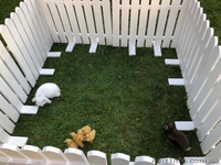 Декоративний паркан. Декоративный забор. Ограждение. Огородження - <ro>Изображение</ro><ru>Изображение</ru> #3, <ru>Объявление</ru> #1592121