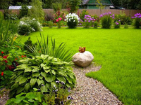 Газон Киев. Создание газона - <ro>Изображение</ro><ru>Изображение</ru> #4, <ru>Объявление</ru> #1651766