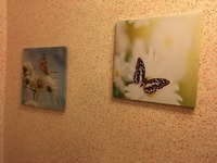 Койко-место Хостел М. Голосеевская Общежитие Киев дешево - <ro>Изображение</ro><ru>Изображение</ru> #3, <ru>Объявление</ru> #1655749