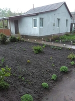 Терміново продається будинок в смт.Бородянка - <ro>Изображение</ro><ru>Изображение</ru> #4, <ru>Объявление</ru> #1655677