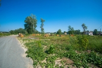 КГ «Синевир» Специальное предложение! - <ro>Изображение</ro><ru>Изображение</ru> #5, <ru>Объявление</ru> #1660078