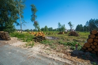 КГ «Синевир» Специальное предложение! - <ro>Изображение</ro><ru>Изображение</ru> #6, <ru>Объявление</ru> #1660078