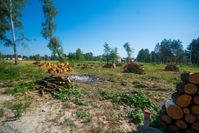 КГ «Синевир» Специальное предложение! - <ro>Изображение</ro><ru>Изображение</ru> #7, <ru>Объявление</ru> #1660078