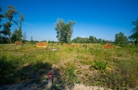 КГ «Синевир» Специальное предложение! - <ro>Изображение</ro><ru>Изображение</ru> #9, <ru>Объявление</ru> #1660078