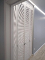 Жалюзийные двери  - <ro>Изображение</ro><ru>Изображение</ru> #2, <ru>Объявление</ru> #1663629