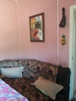 Продам благоустроенный дом в Киевской области - <ro>Изображение</ro><ru>Изображение</ru> #8, <ru>Объявление</ru> #1670952