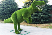 Топиарий под заказ, фигуры из искусственной травы. - <ro>Изображение</ro><ru>Изображение</ru> #2, <ru>Объявление</ru> #1671834