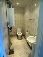 Дом с.Требухов - <ro>Изображение</ro><ru>Изображение</ru> #3, <ru>Объявление</ru> #1672702