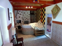 Дом с.Требухов - <ro>Изображение</ro><ru>Изображение</ru> #4, <ru>Объявление</ru> #1672702