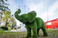 Топиарий под заказ, фигуры из искусственной травы. - <ro>Изображение</ro><ru>Изображение</ru> #5, <ru>Объявление</ru> #1671834