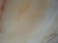 Мраморные полы на складе - <ro>Изображение</ro><ru>Изображение</ru> #7, <ru>Объявление</ru> #1674806