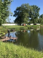 Незабываемый отдых в Киеве для всей семьи - <ro>Изображение</ro><ru>Изображение</ru> #5, <ru>Объявление</ru> #1684663