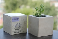 Купить экокуб, растущие карандаши, нанесение лого, опт - <ro>Изображение</ro><ru>Изображение</ru> #1, <ru>Объявление</ru> #1691407