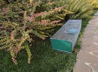 Котоловка, котоловушка, живоловка, живоловушка на кота с педалью метровая - <ro>Изображение</ro><ru>Изображение</ru> #4, <ru>Объявление</ru> #1691737