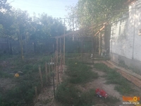 Отдам дом в хорошие руки с.Козаровичи. - <ro>Изображение</ro><ru>Изображение</ru> #2, <ru>Объявление</ru> #1697616