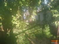 Отдам дом в хорошие руки с.Козаровичи. - <ro>Изображение</ro><ru>Изображение</ru> #3, <ru>Объявление</ru> #1697616